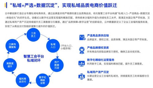 云中鹤入选 2025数智采购供应链发展报告 ,s2b2c模式重构企业采购价值与用户生态运营