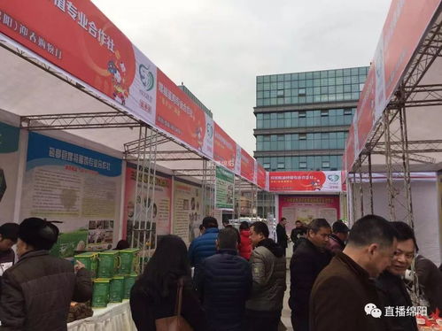 官方都在喊你备年货了，新年还会远吗？——ERP系统开发助力企业年节运转