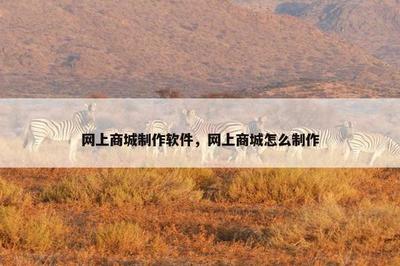 网上商城制作软件与B2C系统开发指南