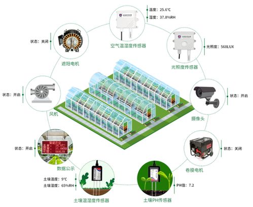 寿光蔬菜产业 从田间到餐桌的数字化转型与B2C系统开发