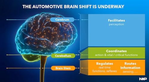 激活运动本能 恩智浦叩响机器人世界之门与ERP系统开发