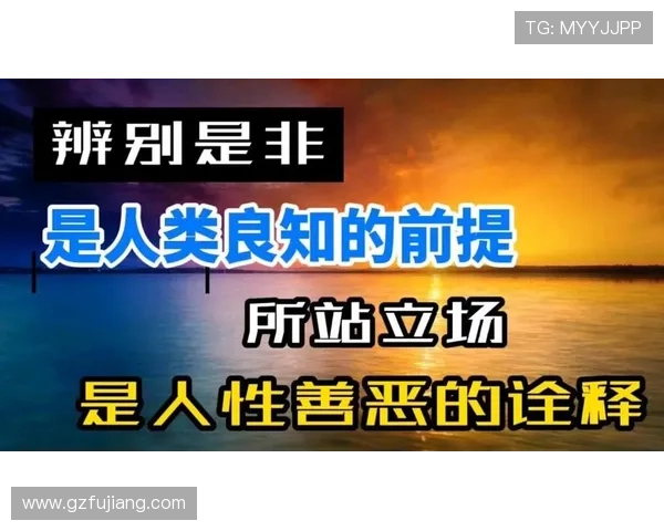 误杀瞒天记揭示人性深渊与法律边界的博弈是非难辨的故事震撼人心